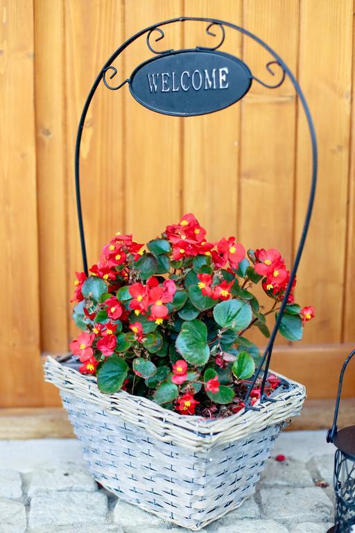 Landhaus Bed&Breakfast Viseu de Sus Exterior photo