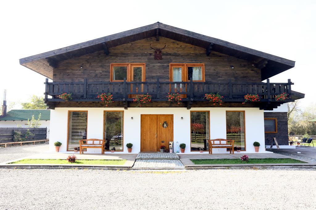Landhaus Bed&Breakfast Viseu de Sus Exterior photo
